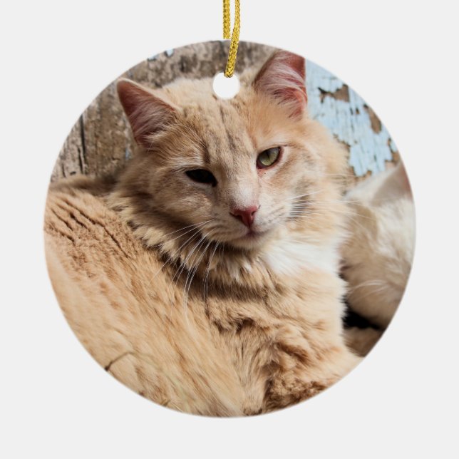 Cats Ceramic Tree Decoration (Front)