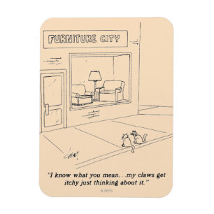 Cats Clawing Furniture Magnet