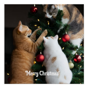 Cats Climbing In Christmas Tree, Customize, Poster
