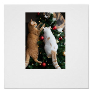 Cats Climbing In Christmas Tree Poster