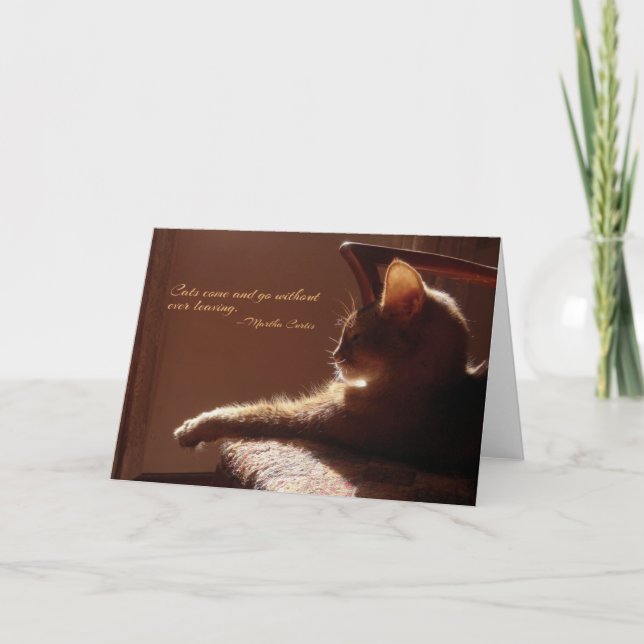 Cats Come and Go Card (Front)