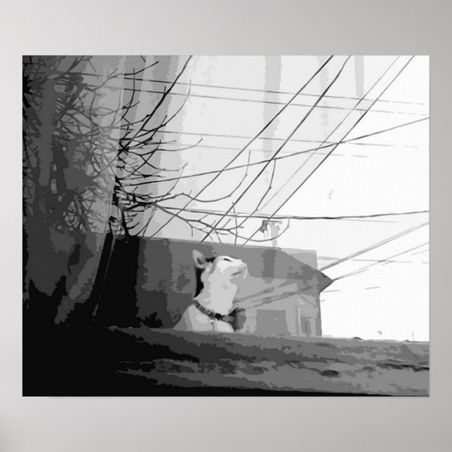 Cat's Cradle Poster (Front)