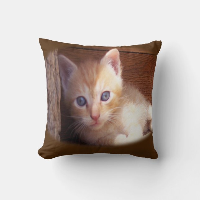 Cats Cushion (Front)