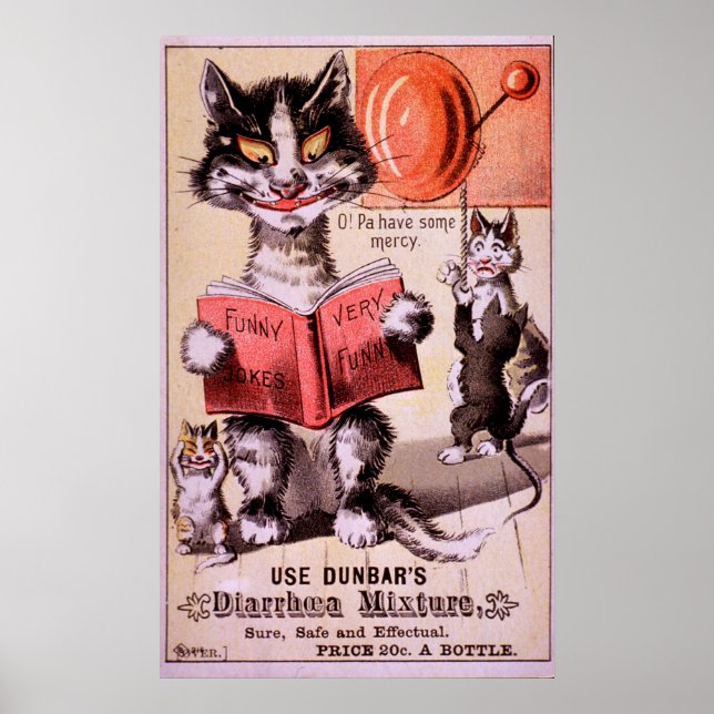 Cats Diarrhoea Mixture Poster (Front)