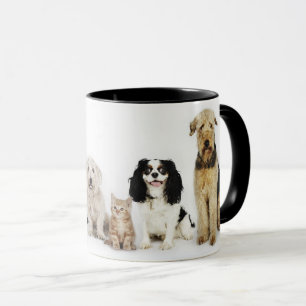 Cats & Dogs Mug