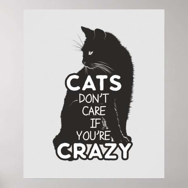 Cats Don't Care if You're Crazy Poster (Front)