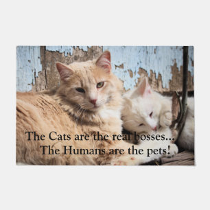 Cats Doormat