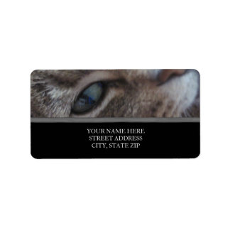 Cat's Eye Address Labels