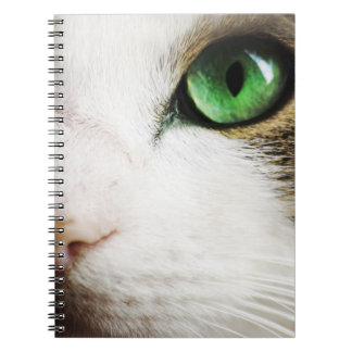 Cat's Eye Notebook
