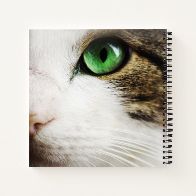 Cat's Eye Notebook (Back)