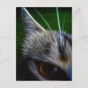 Cat's Eye Photomanipulation Postcard