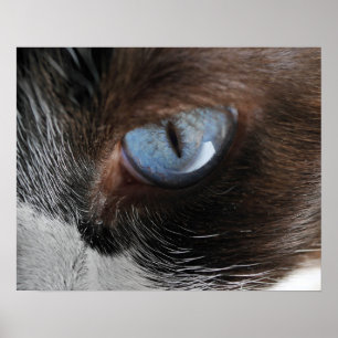Cat's Eye Poster