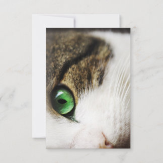 Cat's Eye Thank You Card