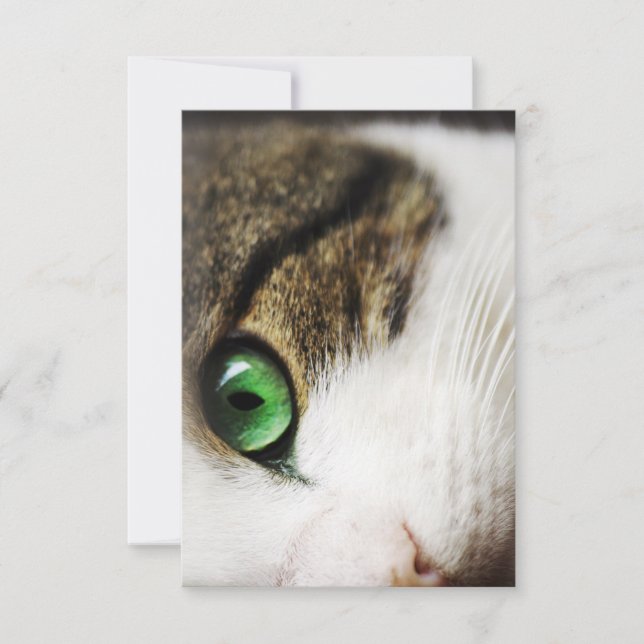 Cat's Eye Thank You Card (Front)