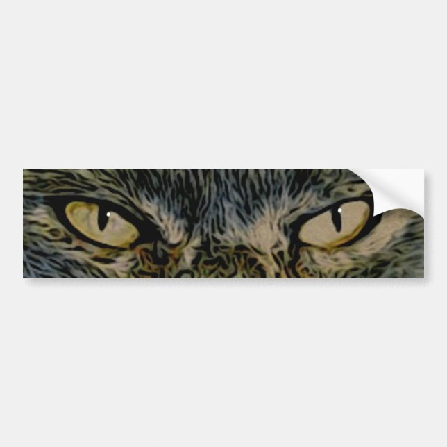 Cat's Eyes Bumper Sticker (Front)