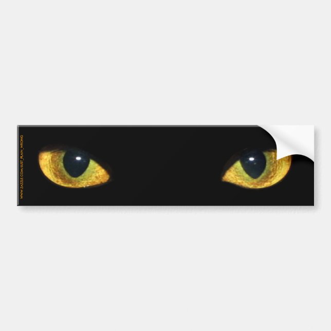 CAT'S EYES BUMPER STICKER (Front)