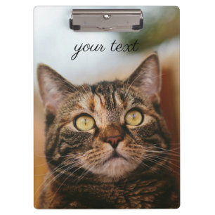 Cat's Eyes Clipboard