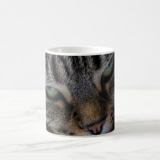 Cats Eyes Mug