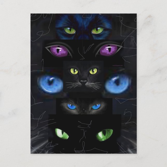 Cat's eyes postcard (Front)