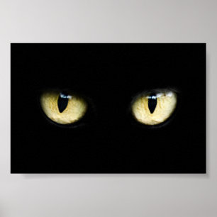 Cat's Eyes Poster