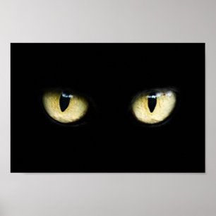 Cat's Eyes Poster