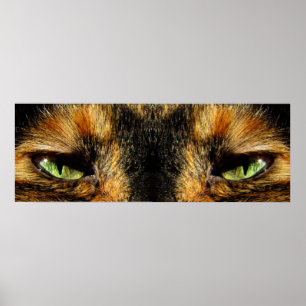 Cats Eyes Poster