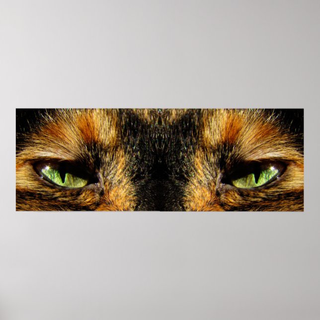 Cats Eyes Poster (Front)