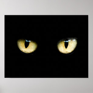Cat's Eyes Poster