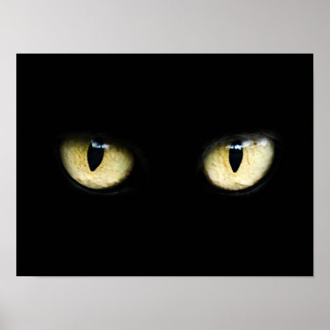 Cat's Eyes Poster (Front)