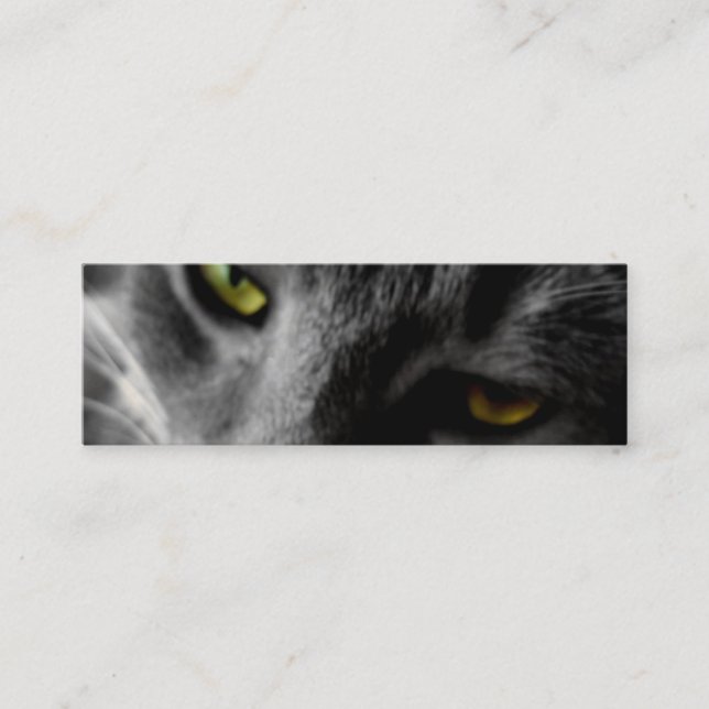 Cat's Eyes Profile Cards (Front)
