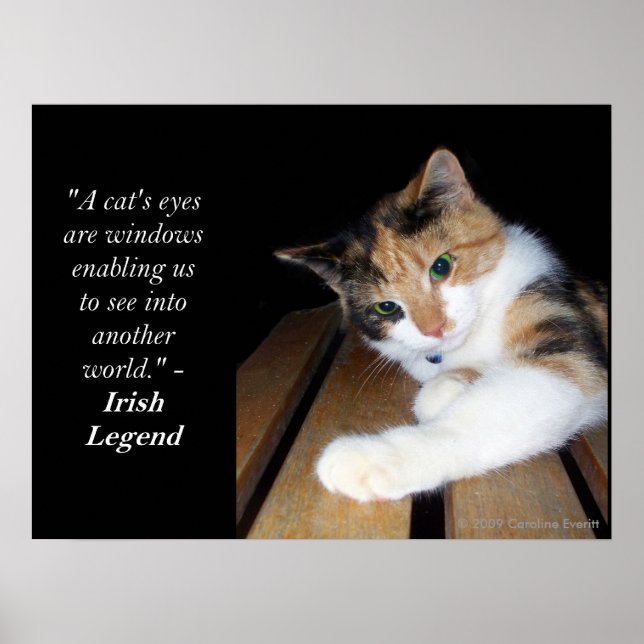 Cats Eyes Window To Another World Poster (Front)