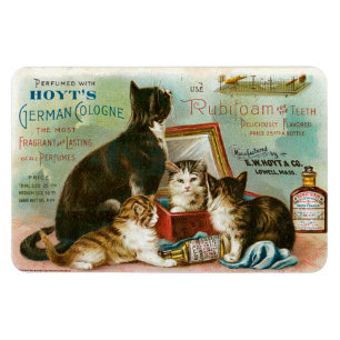 Cats for Hoyt's Magnet