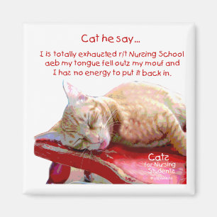 Cats for Nursing Students - Exhausted Magnet