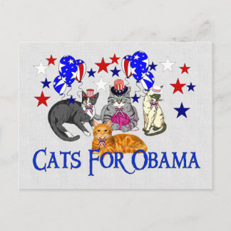 CATS FOR OBAMA POSTCARD