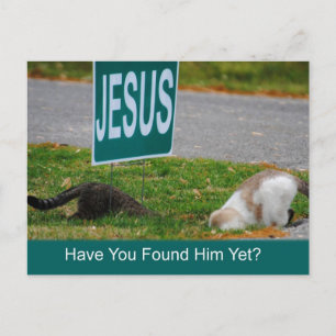 Cats Found Jesus Funny Postcard