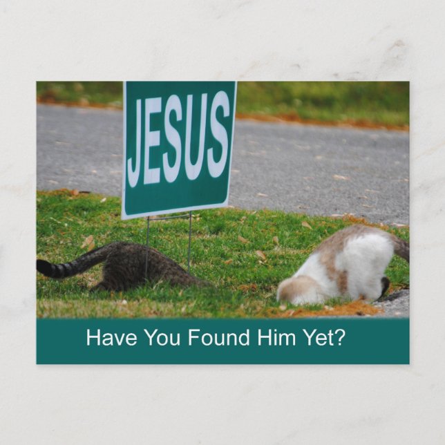 Cats Found Jesus Funny Postcard (Front)