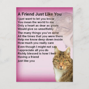Cats   Friend Poem Postcard