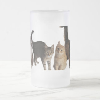 Cats  frosted glass beer mug
