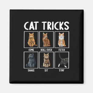 Cats Funny Cat Tricks  Magnet