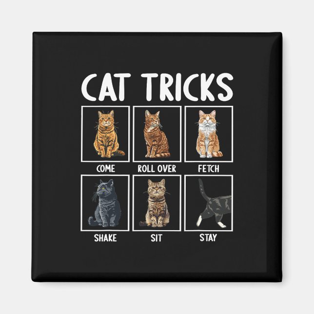 Cats Funny Cat Tricks  Magnet (Front)