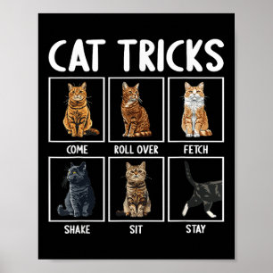 Cats Funny Cat Tricks  Poster