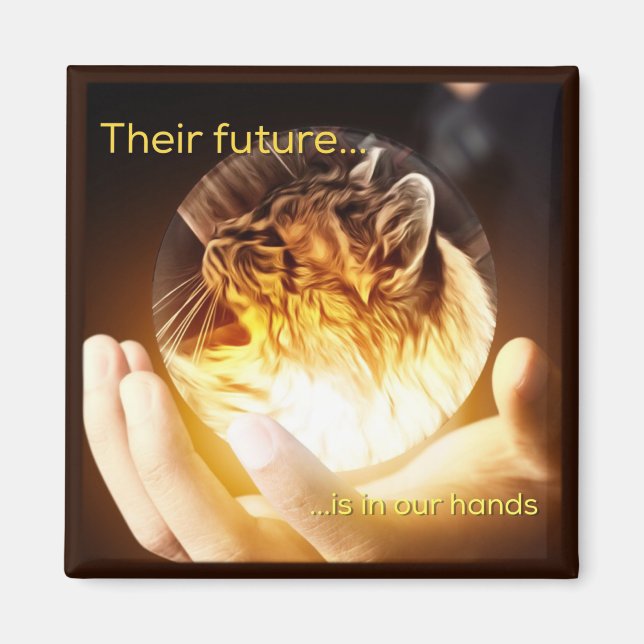 Cats Future in Our Hands Magnet (Front)