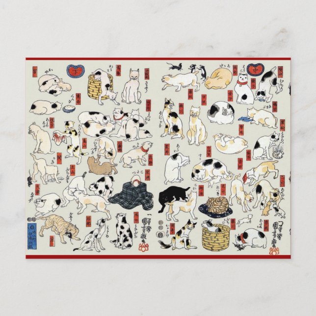 Cats Galore Postcard (Front)