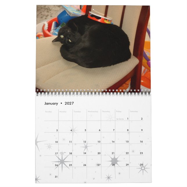 Cats, Glorious Cats Calendar (Jan 2027)