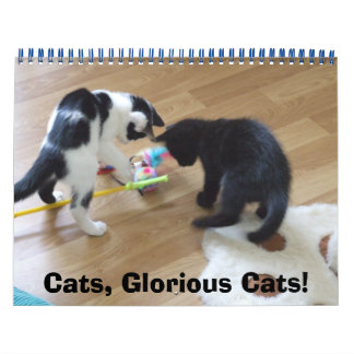 Cats, Glorious Cats Calendar