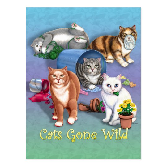 Cats Gone Wild Postcard