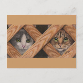 Cats Grey Tabby behind lattice fence postcard