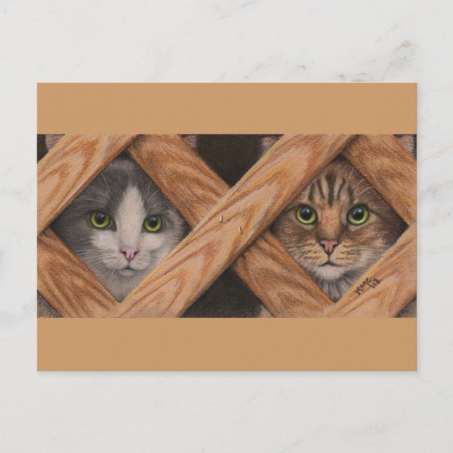 Cats Grey Tabby behind lattice fence postcard (Front)