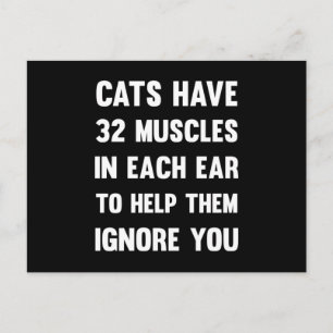 Cats have 32 muscles in each ear...  Funny Cats Postcard