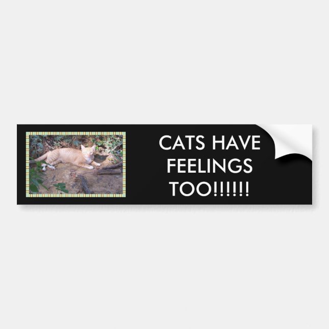 CATS HAVE FEELINGS TOO!!!!!! BUMPER STICKER (Front)